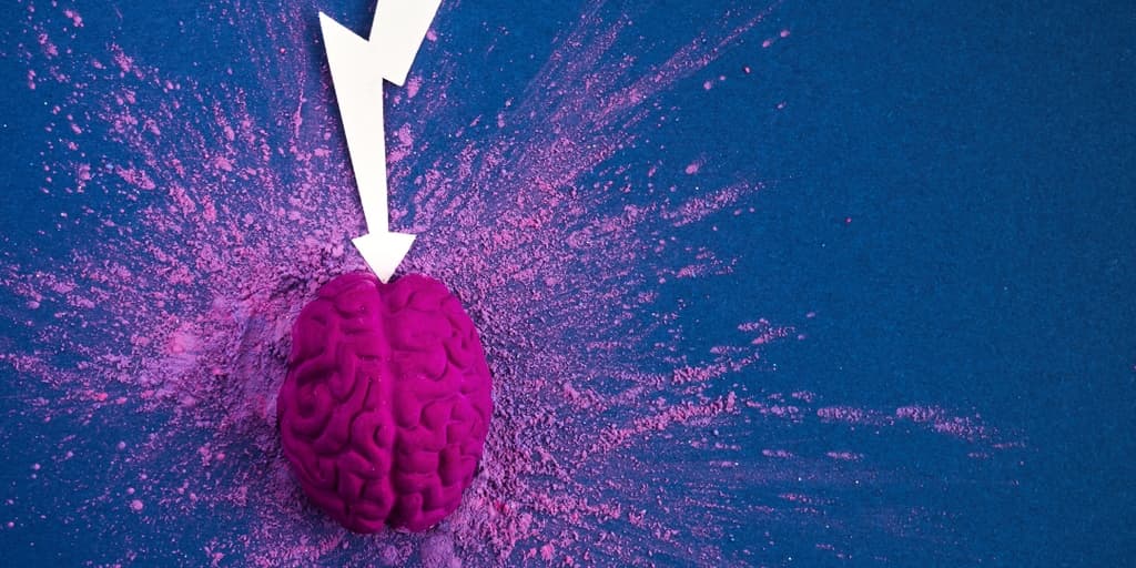 neuroplasticnost 