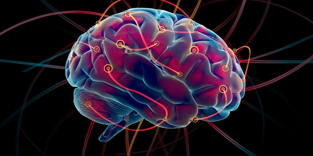 neuroplastičnost
