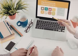 Performance Management & Feedback