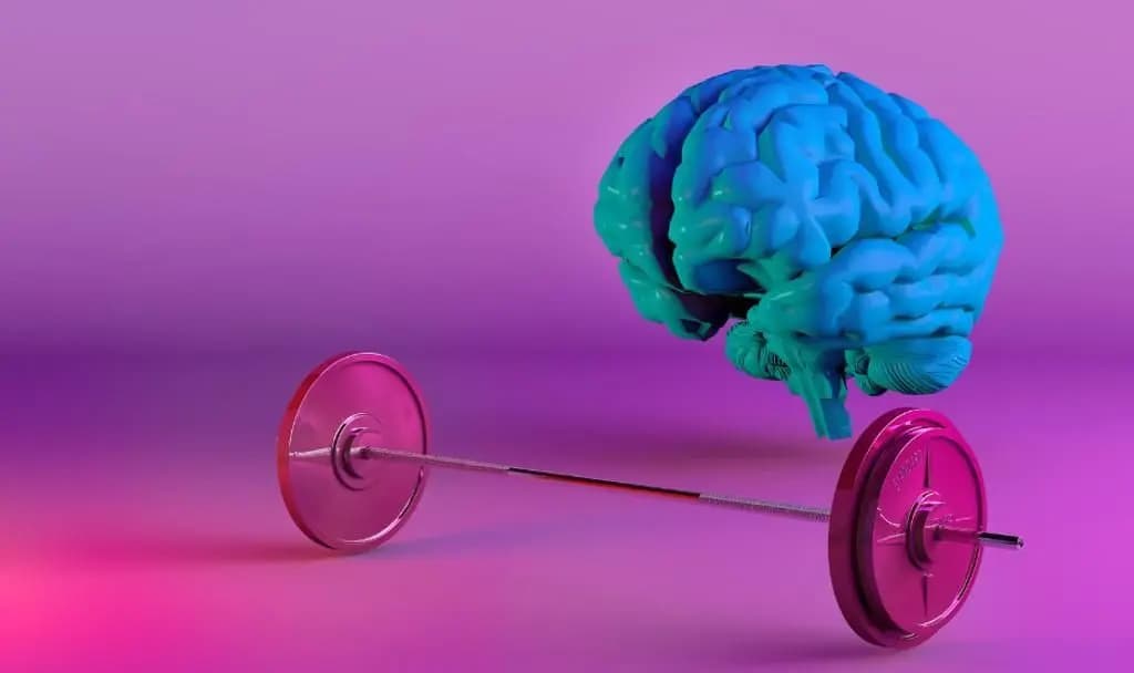 neuroplastičnost