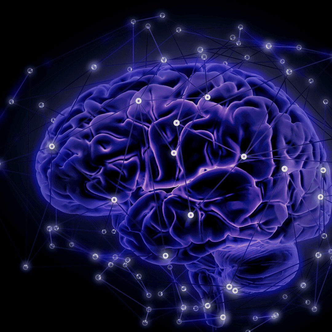Neuroplastičnost: kako se mozak razvija i mijenja